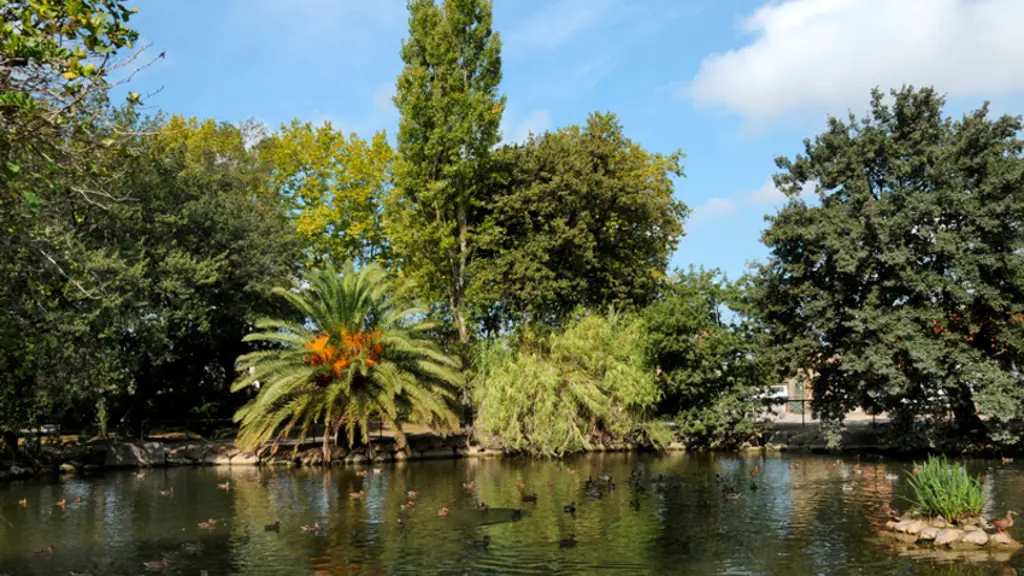 toulouges_parc_de_clairfont_5