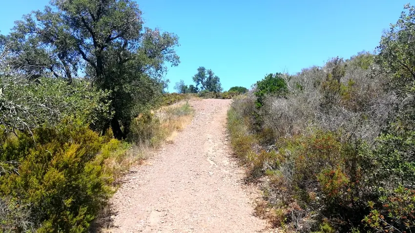 En chemin vers Llauro_3