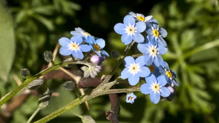 Réserve naturelle Eyne 3