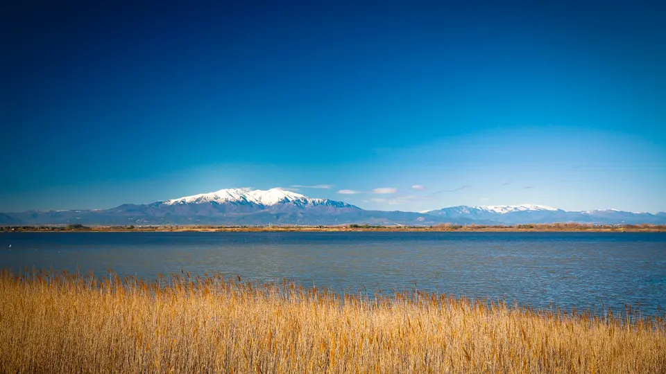 vegetationEtangCanigou