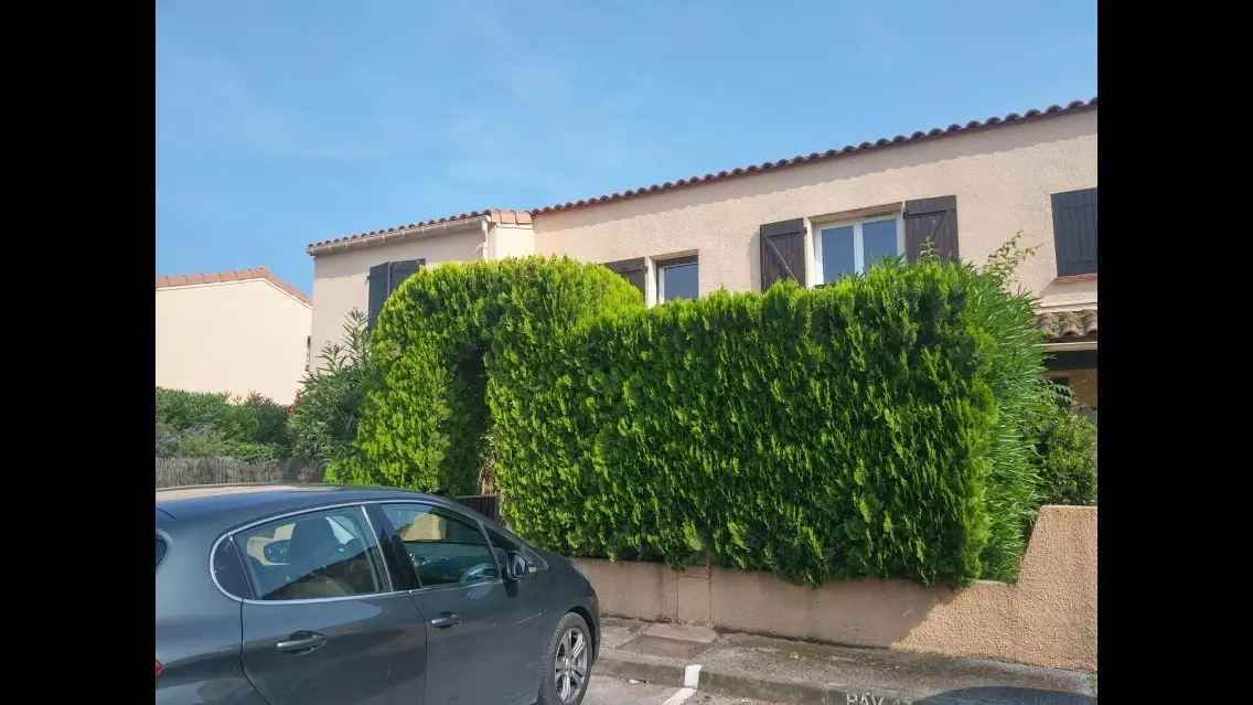 vignal1