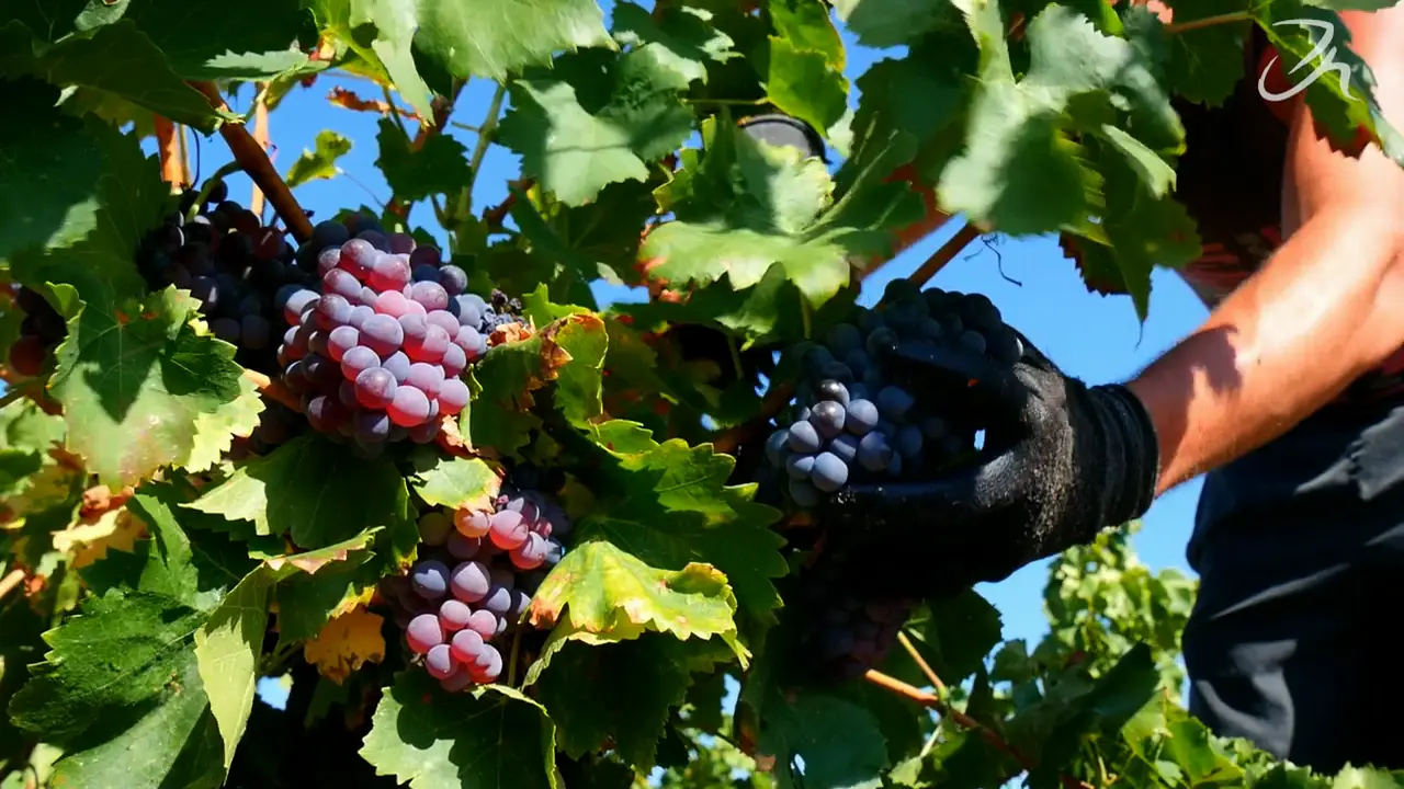 Aspres St Jean Lasseille Château Planères 915-03-05-14h18m21s89