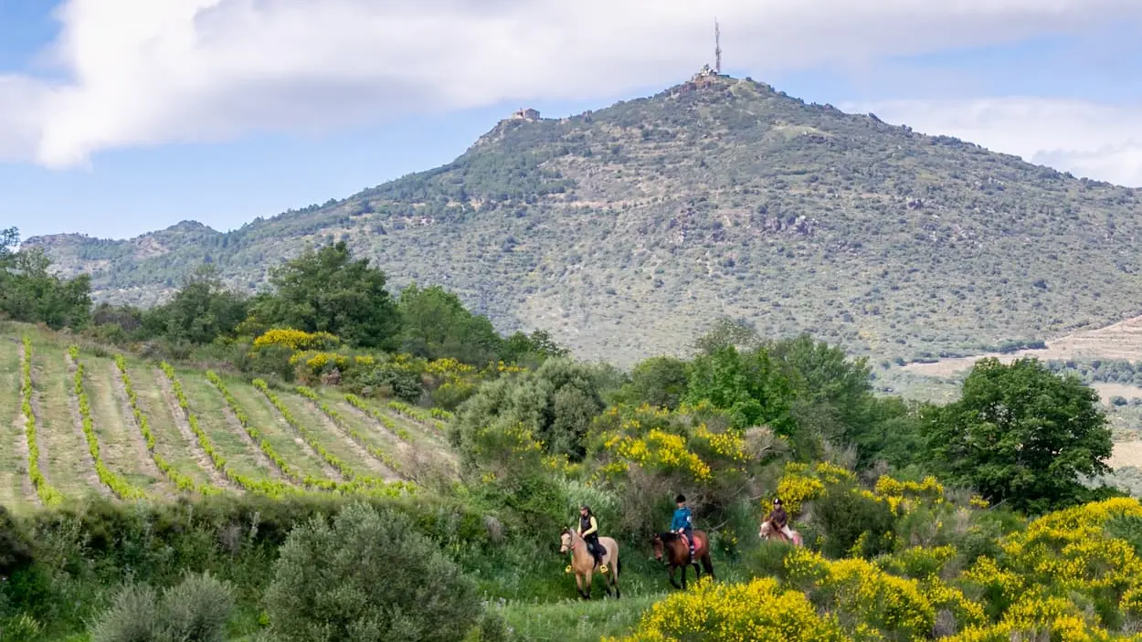 vue-antenne-forca-real-equitet-rando-corneilla-la-riviere-web