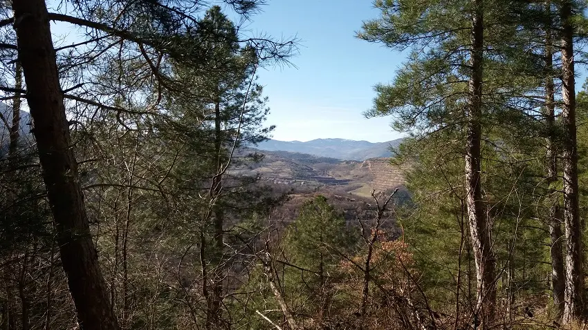 Vue sur Escaro depuis la forêt de pins_2