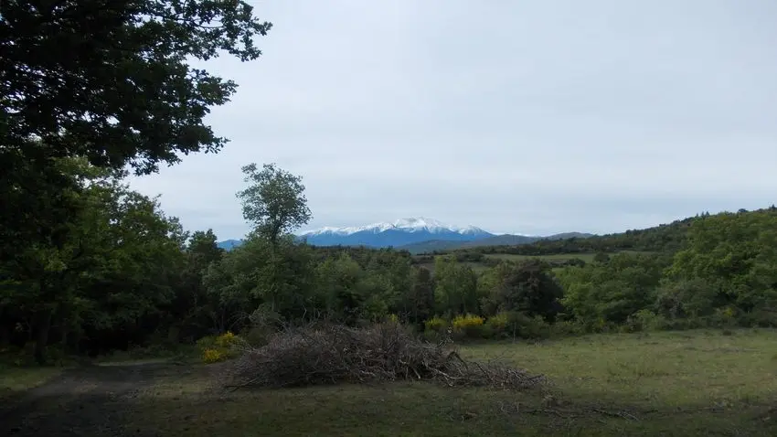 Vue sur le Canigou_4
