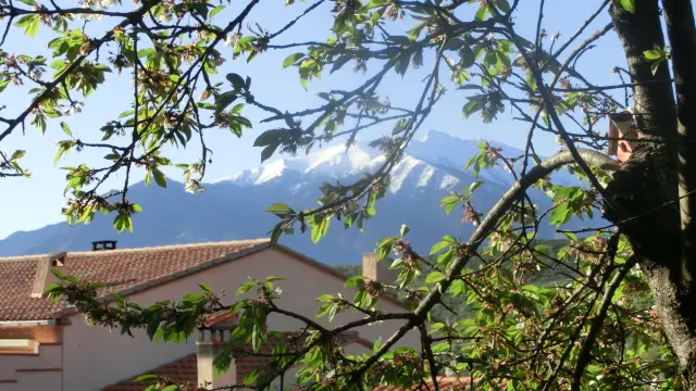 Vue sur le canigó depuis la terrasse