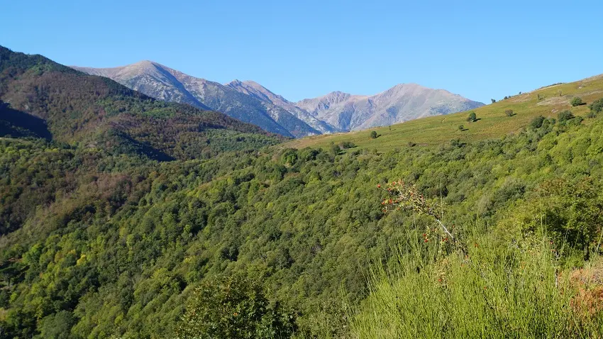 Vue sur le Coll Palomeres_1