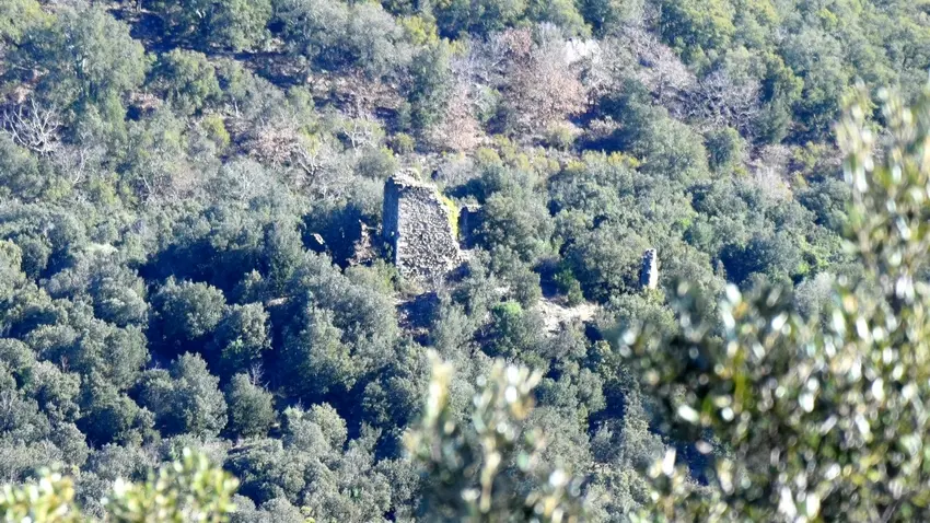Vue sur les ruines du château de Montauriol_2