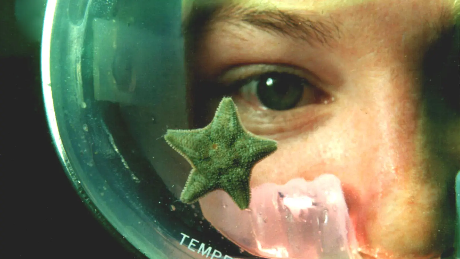 CENTRE DE PLONGEE LE POULPE