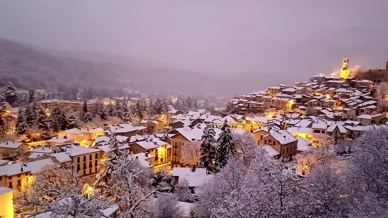 Ma petite Précisière