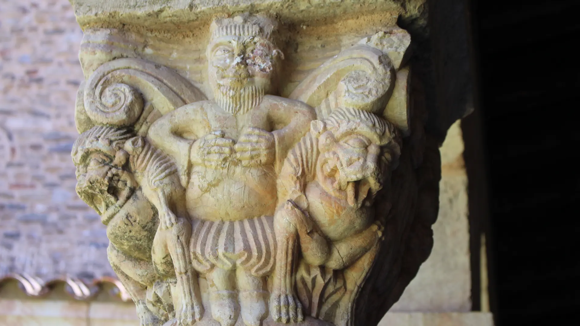 ABBAYE-SAINT-MICHEL-DE-CUXA--CONFLENTCANIGO--28-