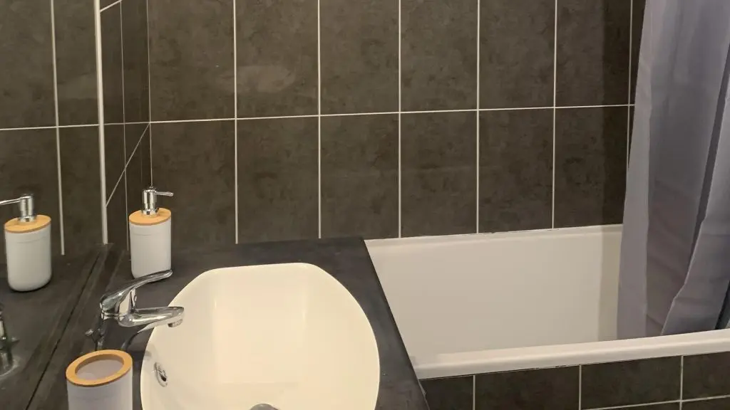 APPARTEMENT JULIEN PANCHOT 4