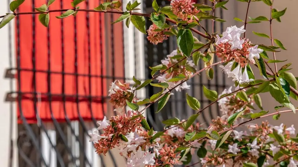 Auberge de Jeunesse 3