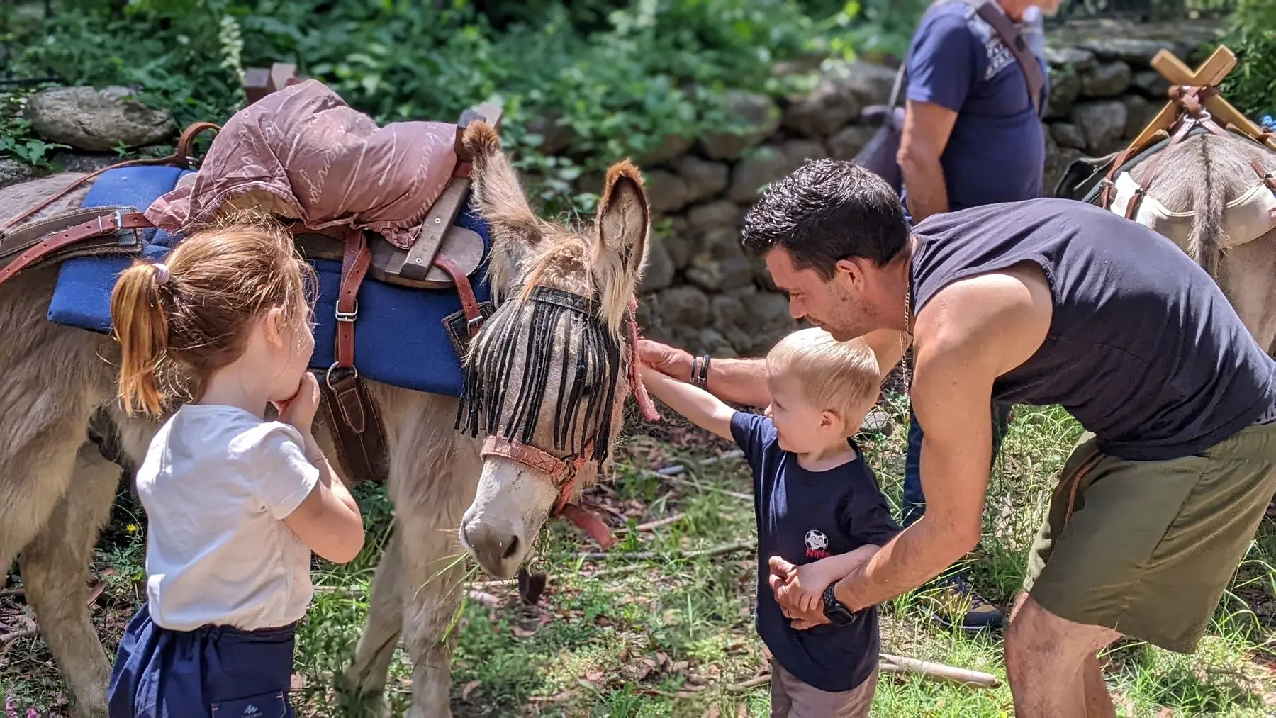 AUX ANES ET CAETERA 1