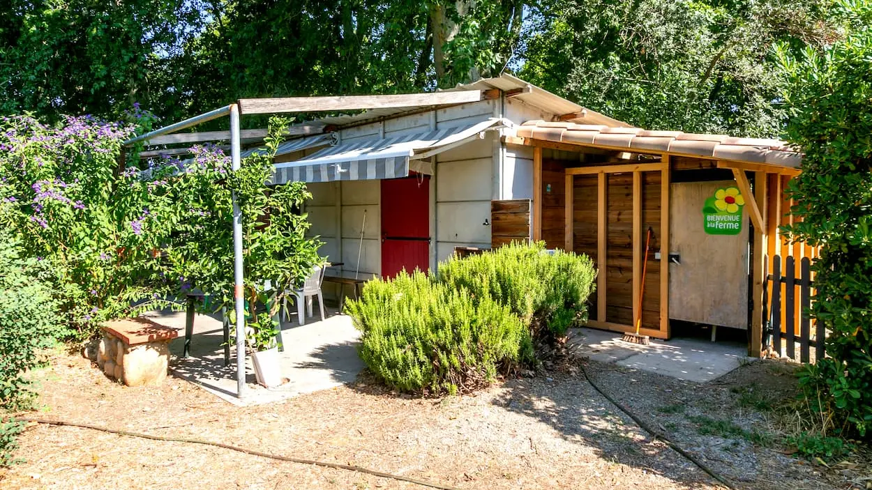 Accueil-camping-mas-saragosse-millas