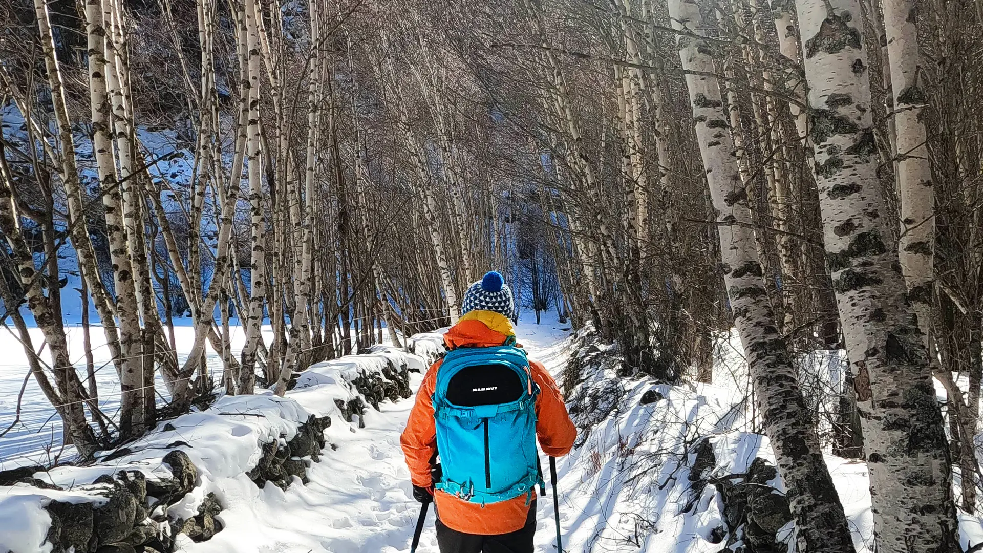 Activités - hiver  raquettes Porté-Puymorens 2 ©Pyrénées-Cerdagne