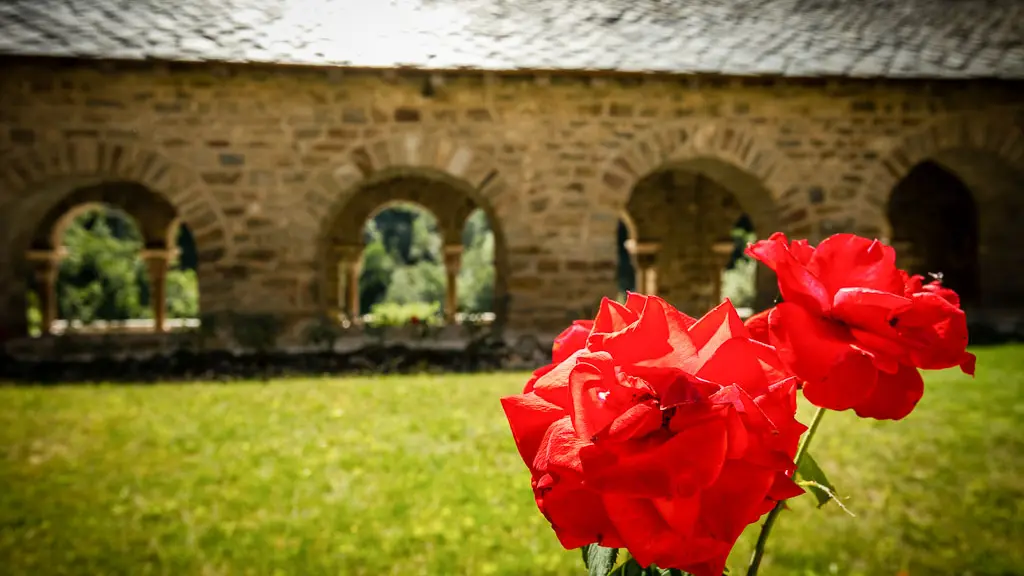 Abbaye de St-Martin du Canigou