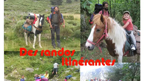 Affiches Pottoks A4 2014