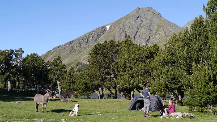 Aire de repos et pique nique