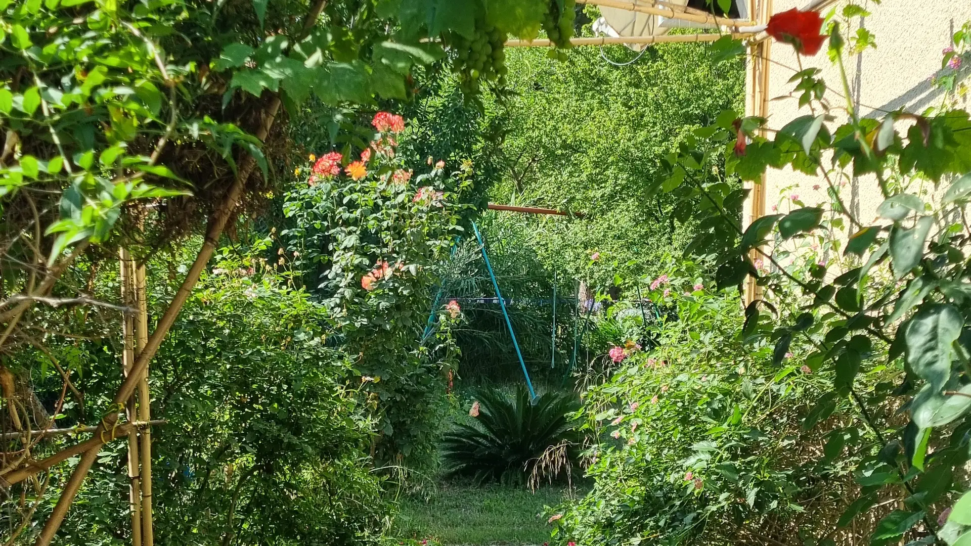 Jardin et allée Est