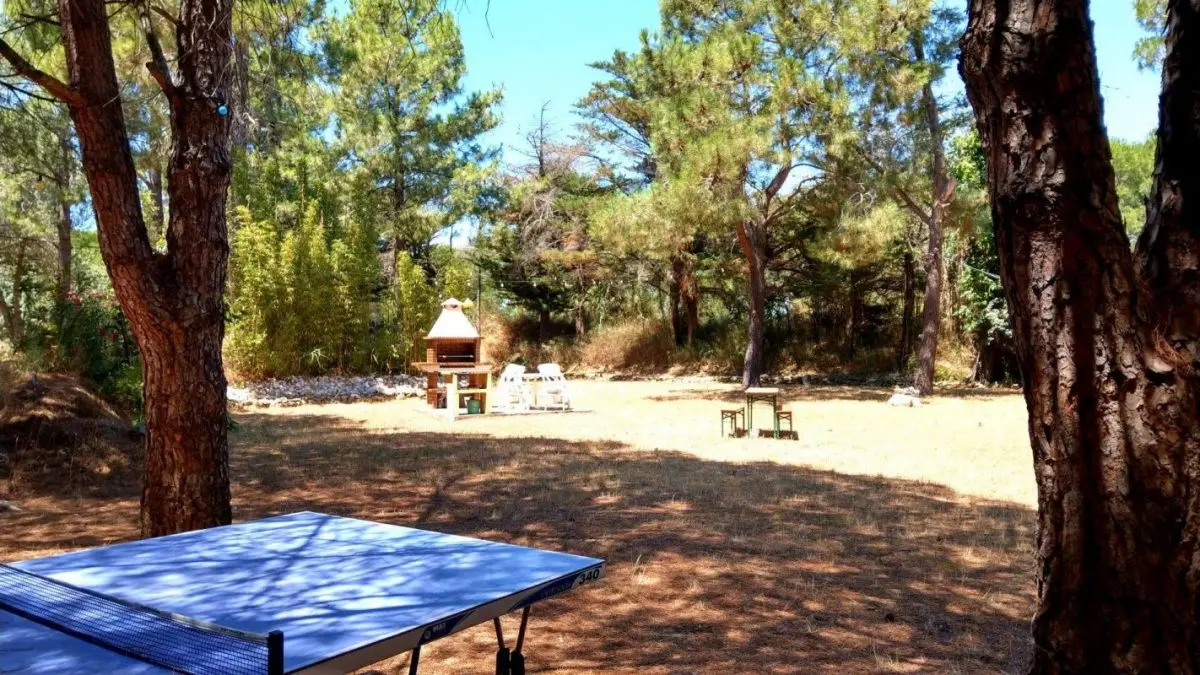Une petite partie de Ping-Pong ?