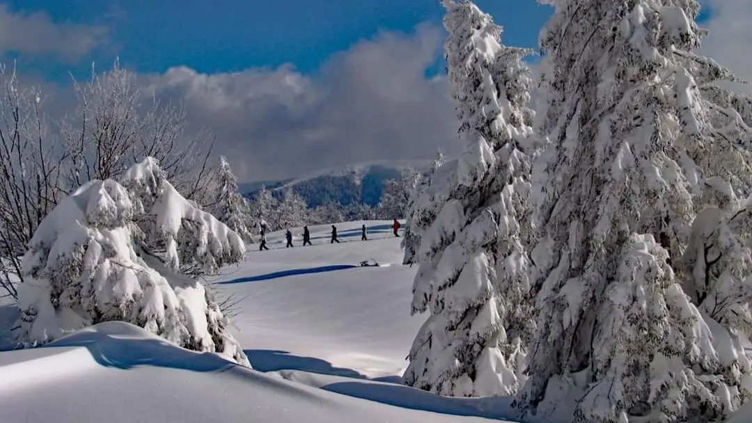 Altitude aventure 66 5