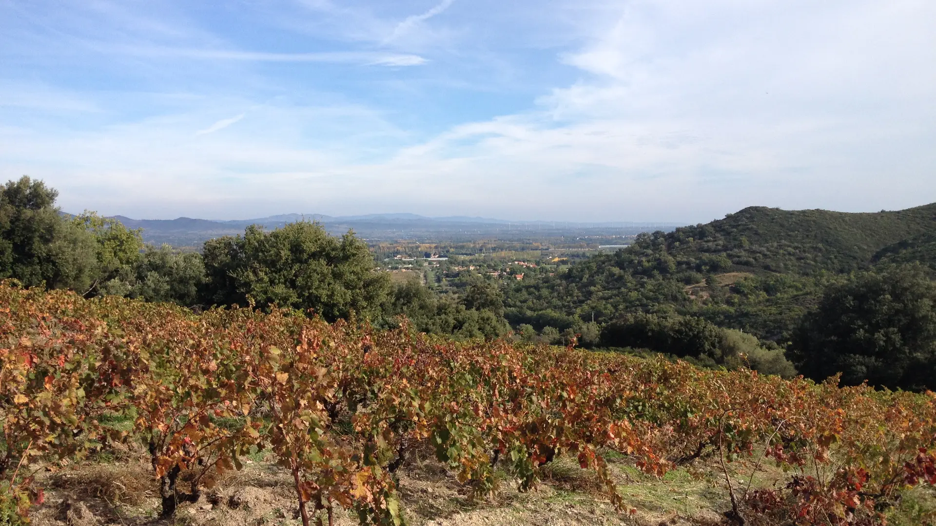 Aspres Camelas Mas d'en félix vignes 1