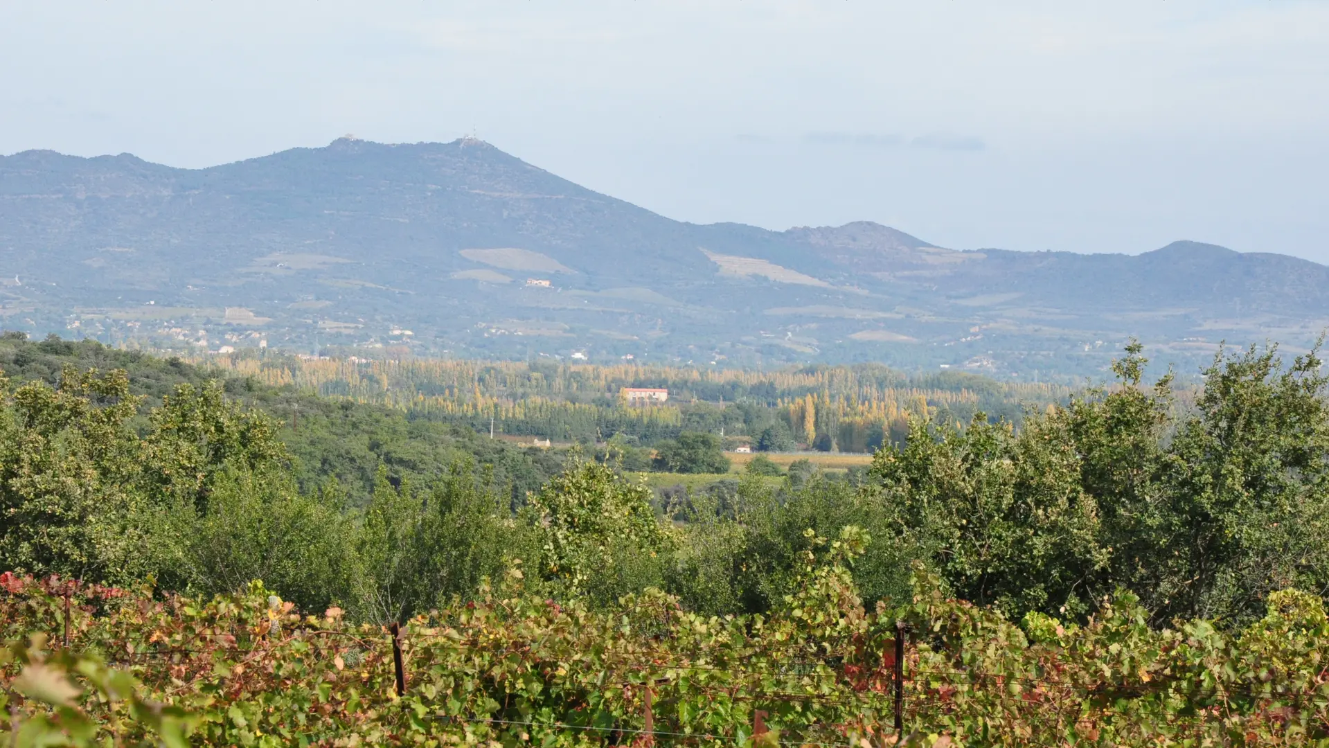 Aspres Camelas Mas d'en félix vignes 2