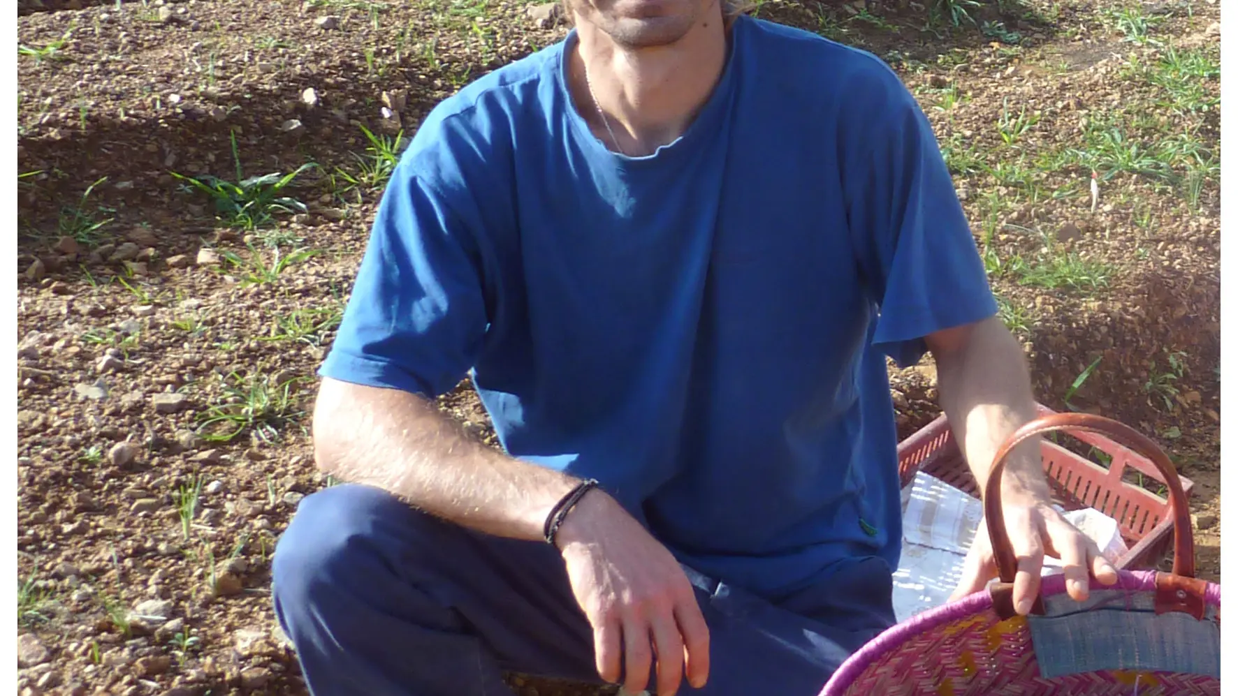 Aspres Oms Safran des Aspres producteur