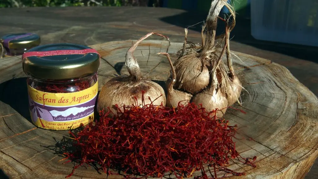 Aspres Oms Safran des Aspres tas