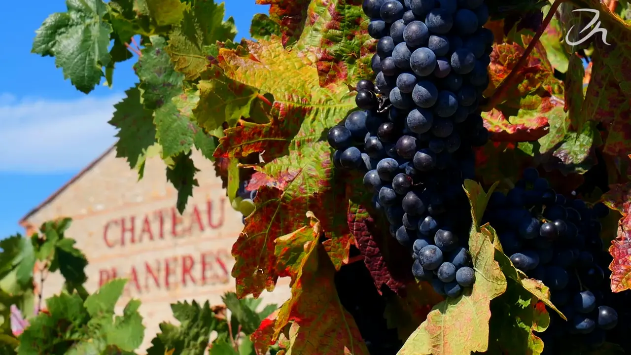Aspres St Jean Lasseille Château Planères 1