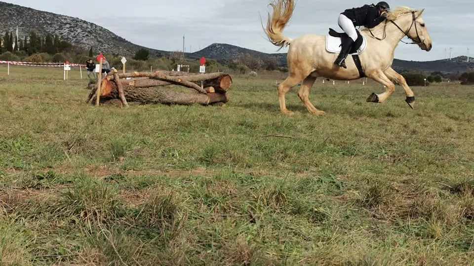 Aspres-Terrats-Le-Clan-d-Epona-3