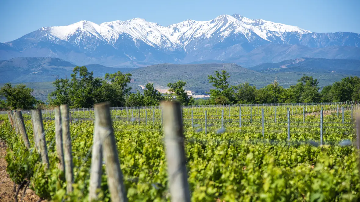 Aspres Thuir Château Lauriga 1