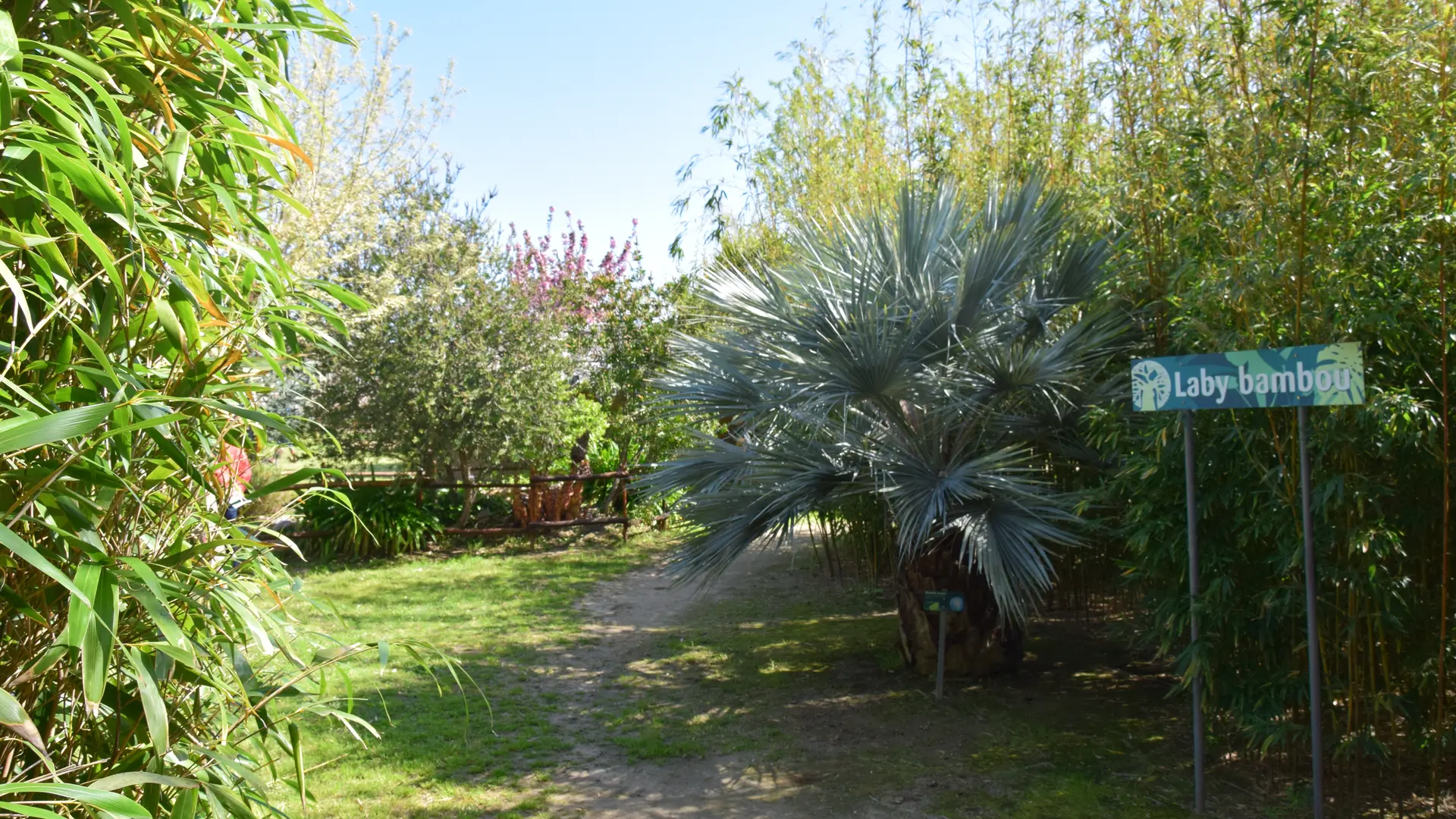 Aspres Trouillas Labyrinthe aux 1000 fleurs HD12