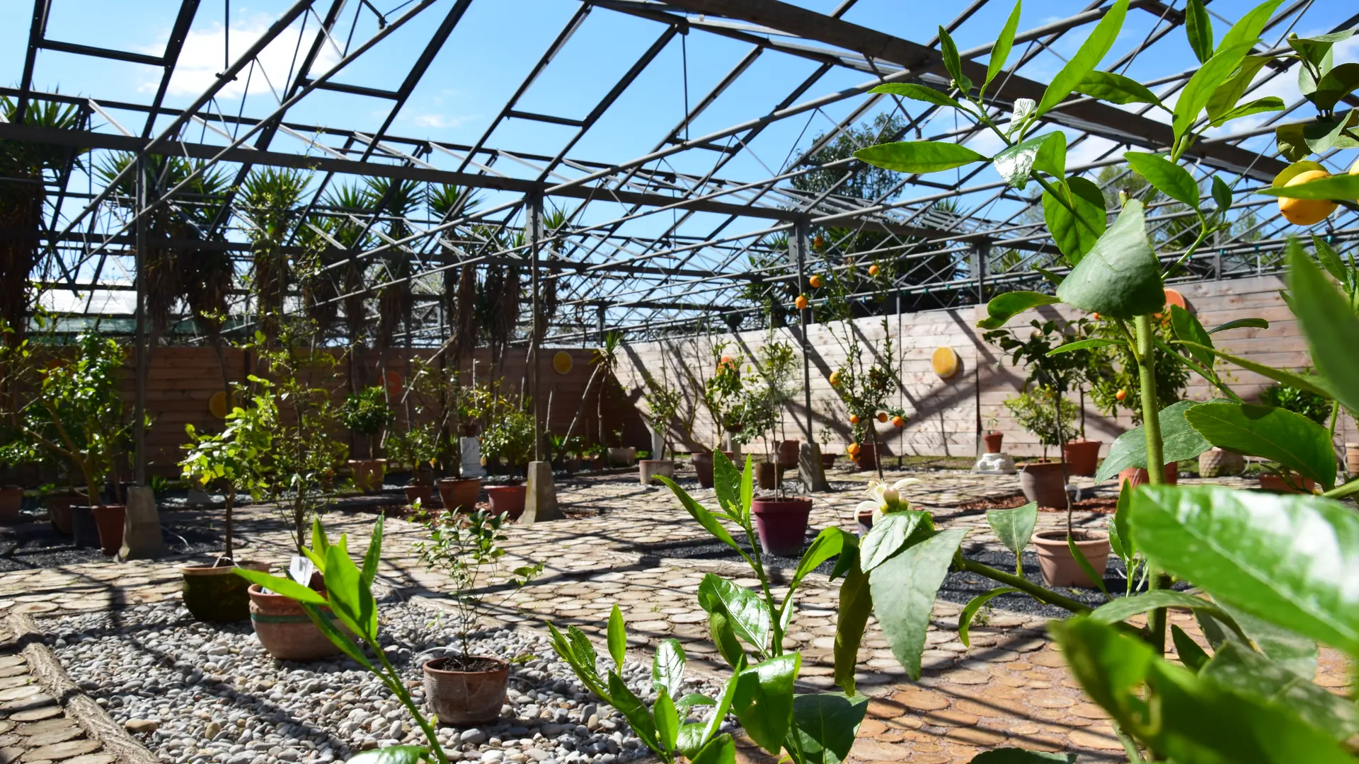 Aspres Trouillas Labyrinthe aux 1000 fleurs HD8