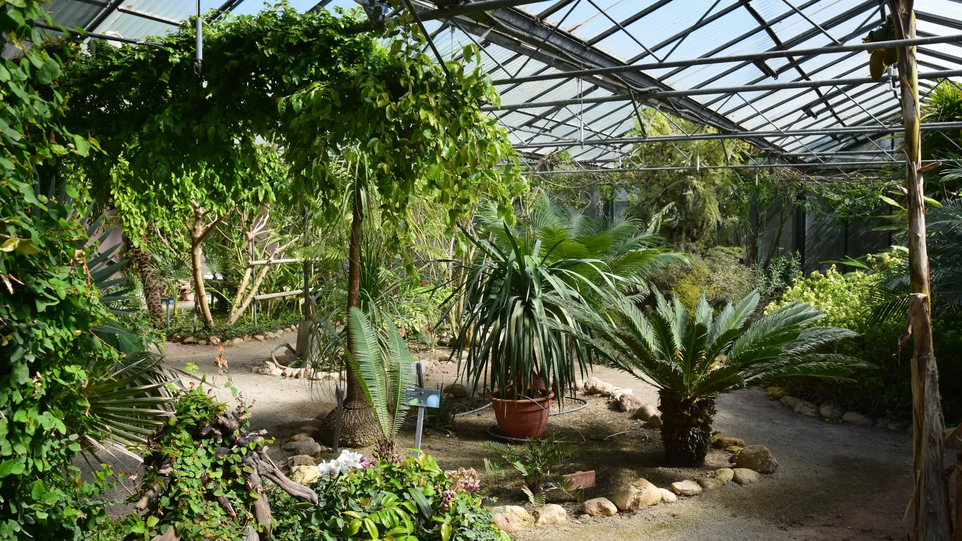 Aspres Trouillas Labyrinthe aux 1000 fleurs HD9