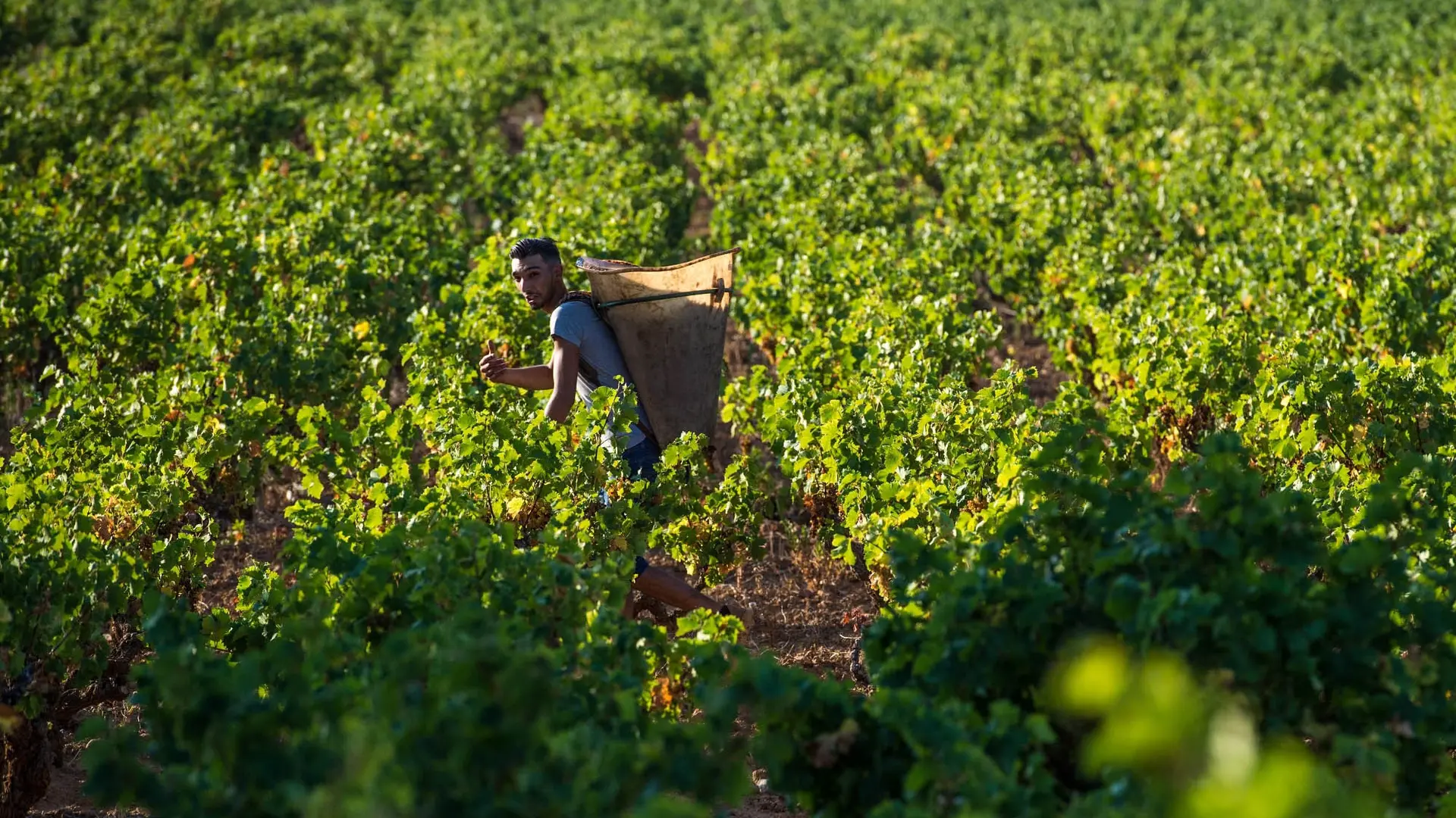 Arnaud de Villeneuve 4