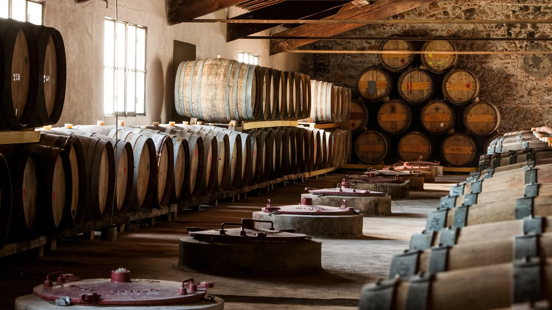 Arnaud de Villeneuve 5