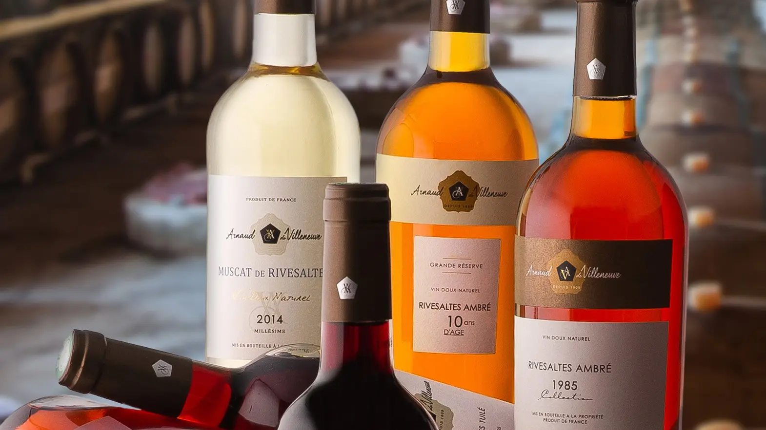 Arnaud de Villeneuve 1