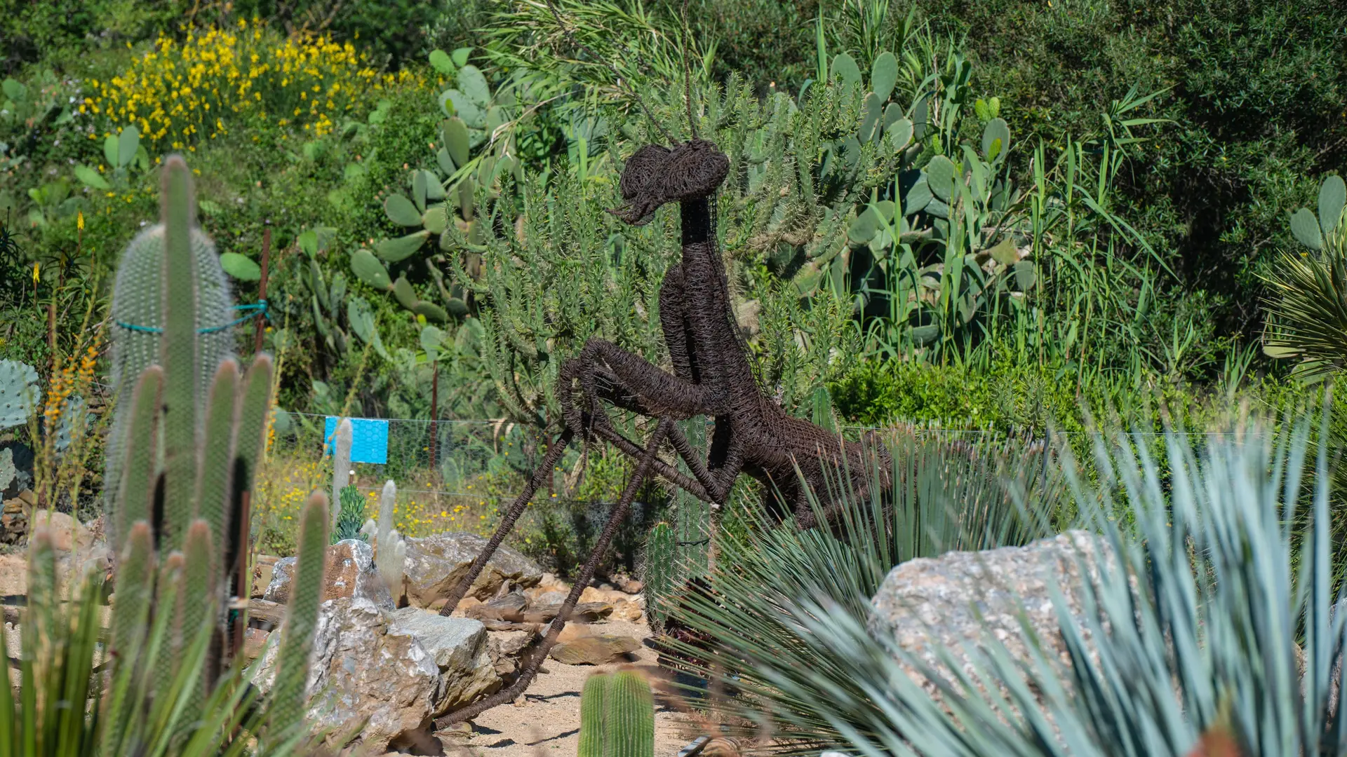 Arbo Canet sculpture©ville de Canet