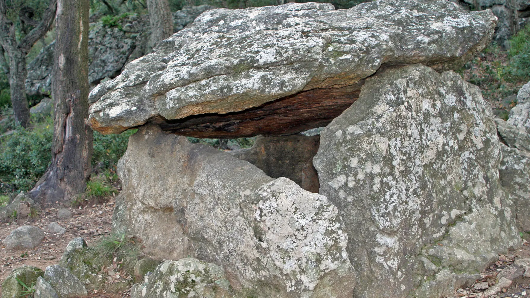 Argeles randonnée dolmen