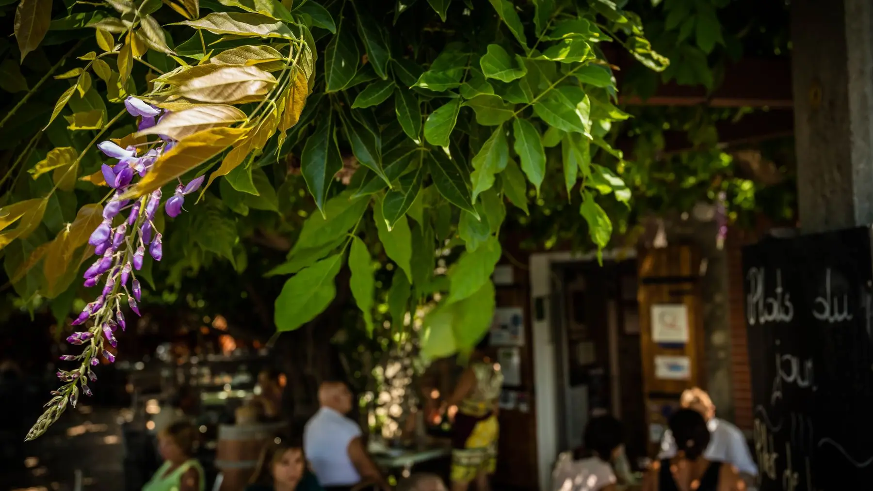 Auberge du bon vivant-Argelès sur Mer_18