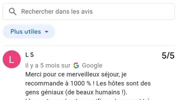 Avis Google