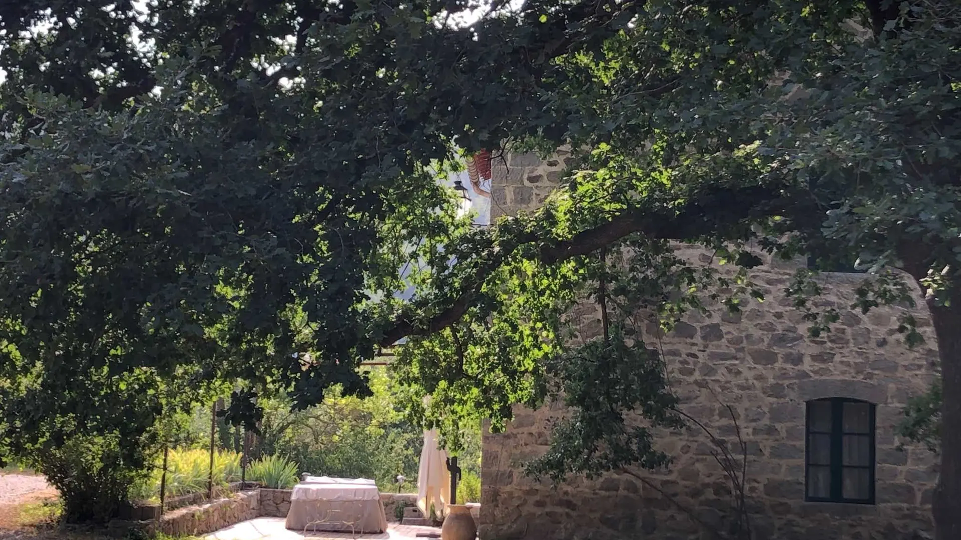 Vue vers la location depuis le jardin