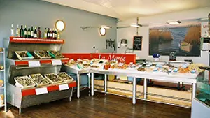 BONIFACE COQUILLAGES