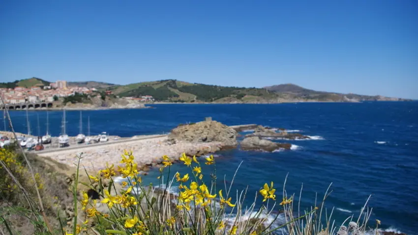 Banyuls_140515_cote_rocheuse_17