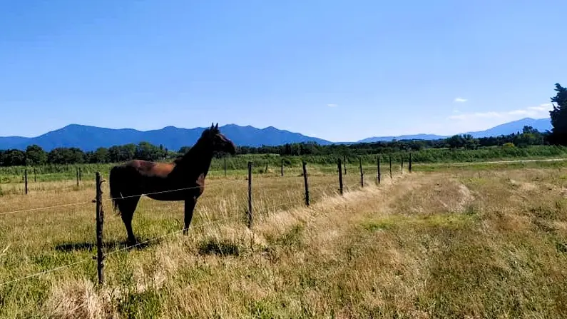 Bages Equitation Frédéric Motter 1