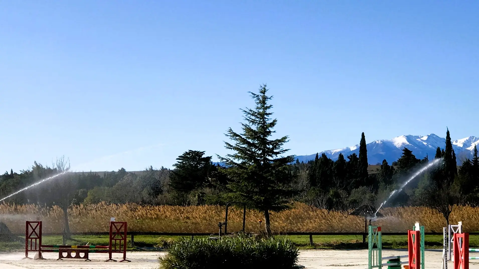 Bages Equitation Frédéric Motter