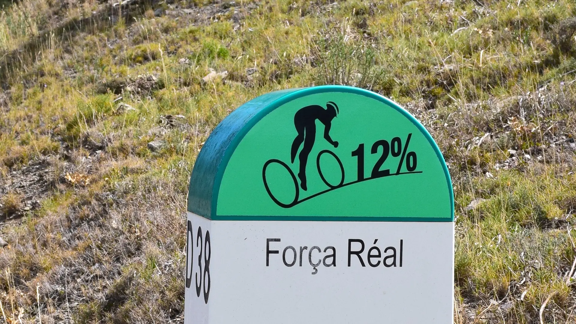 Borne col Força Réal