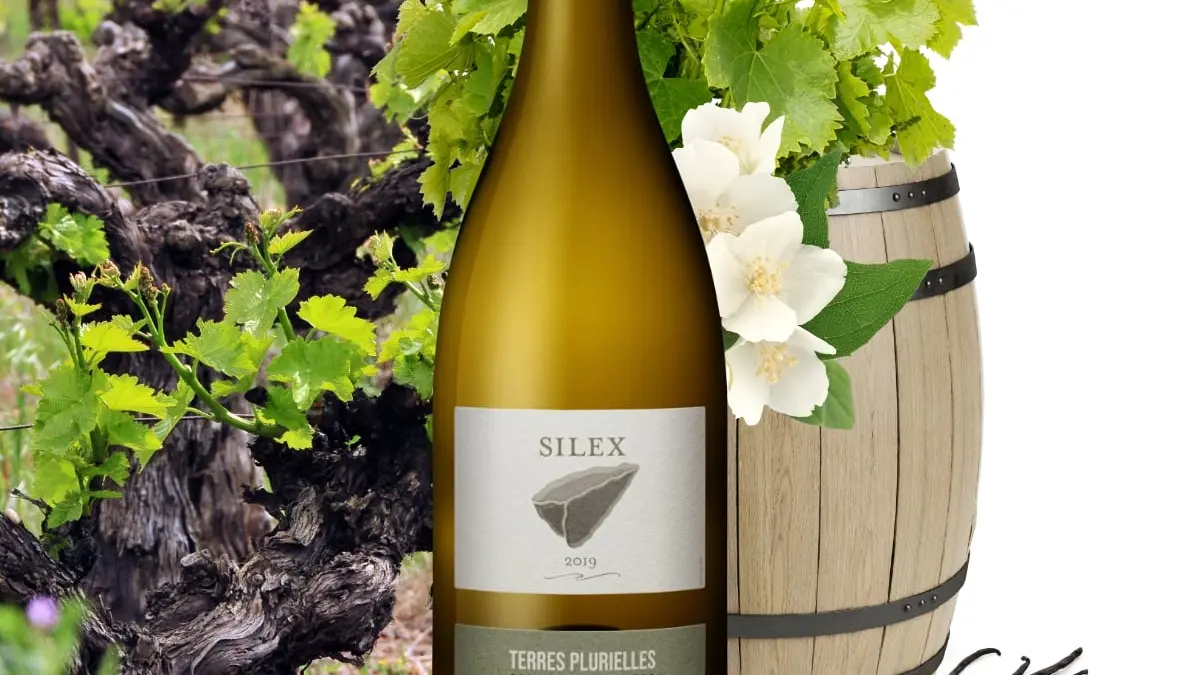 Bouteille - Terres Plurielles pour FaceBook